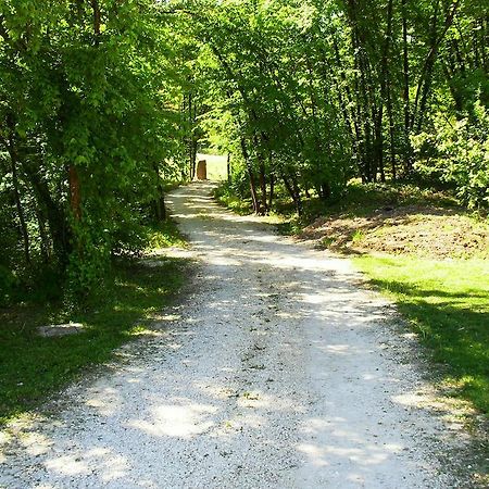 Alle Vallesse Altavilla Vicentina Zewnętrze zdjęcie
